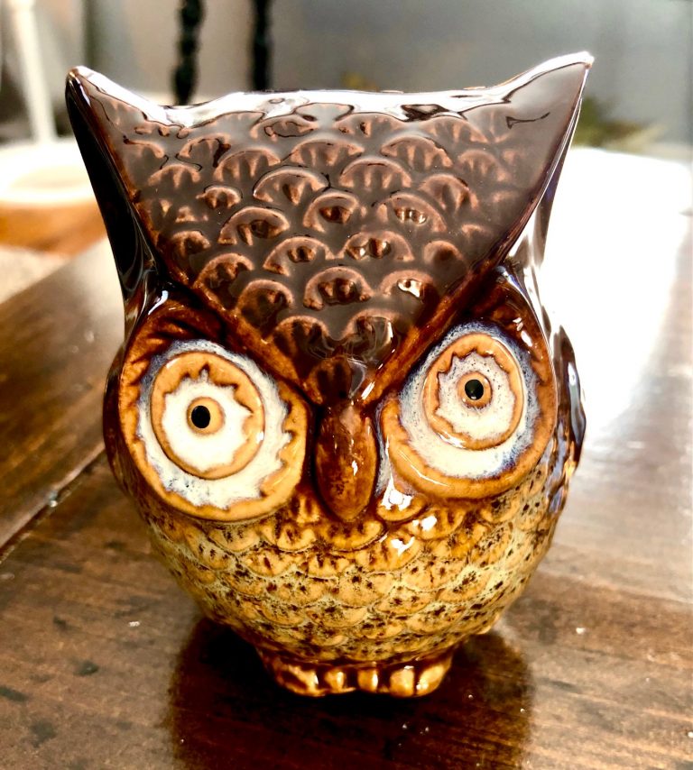 Dollar Tree Owl Makeover