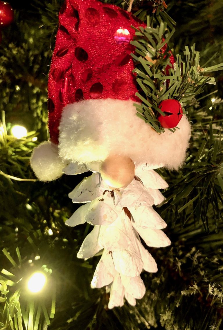Santa Gnome