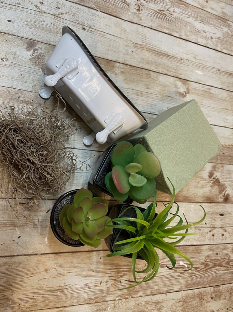 DIY Succulent Bathtub