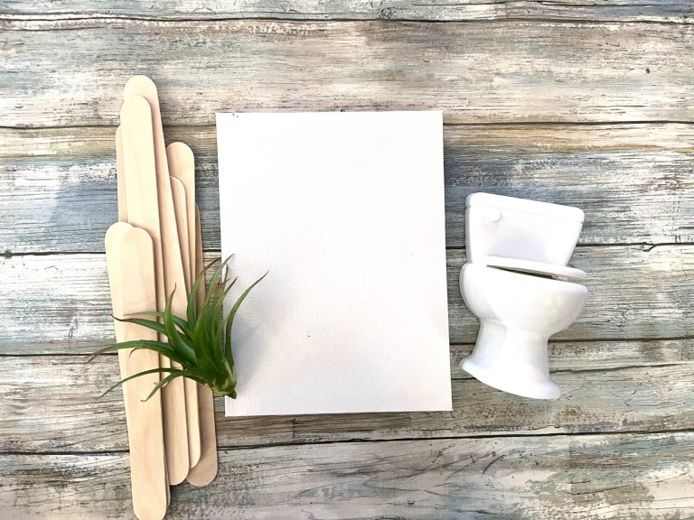 DIY Dollar Tree Toilet Planter Bathroom Sign