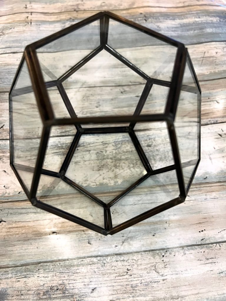 DIY Thrifted Terrarium