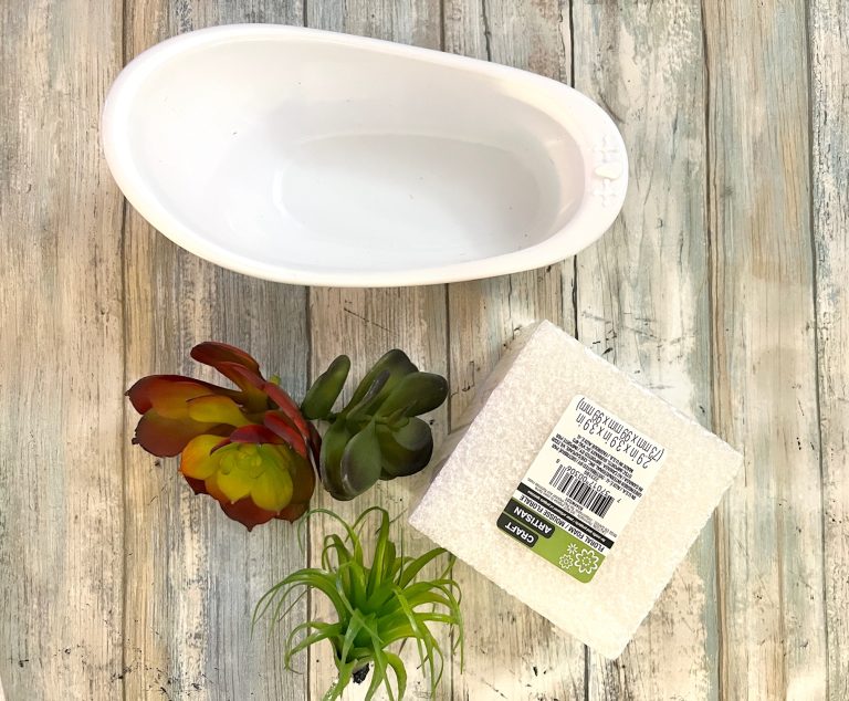 Dollar Tree Succulent Bathtub Planter