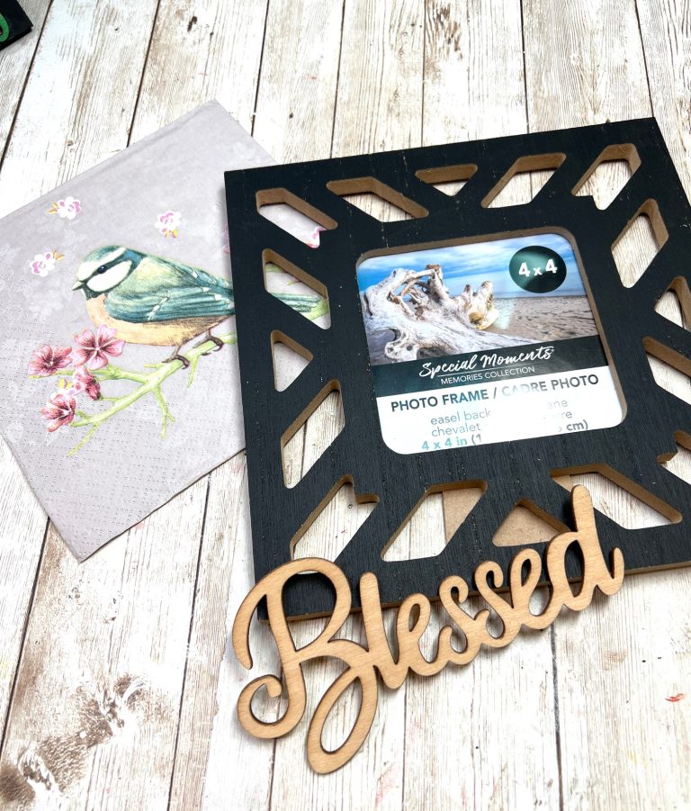 Dollar Tree Spring Bird Frame