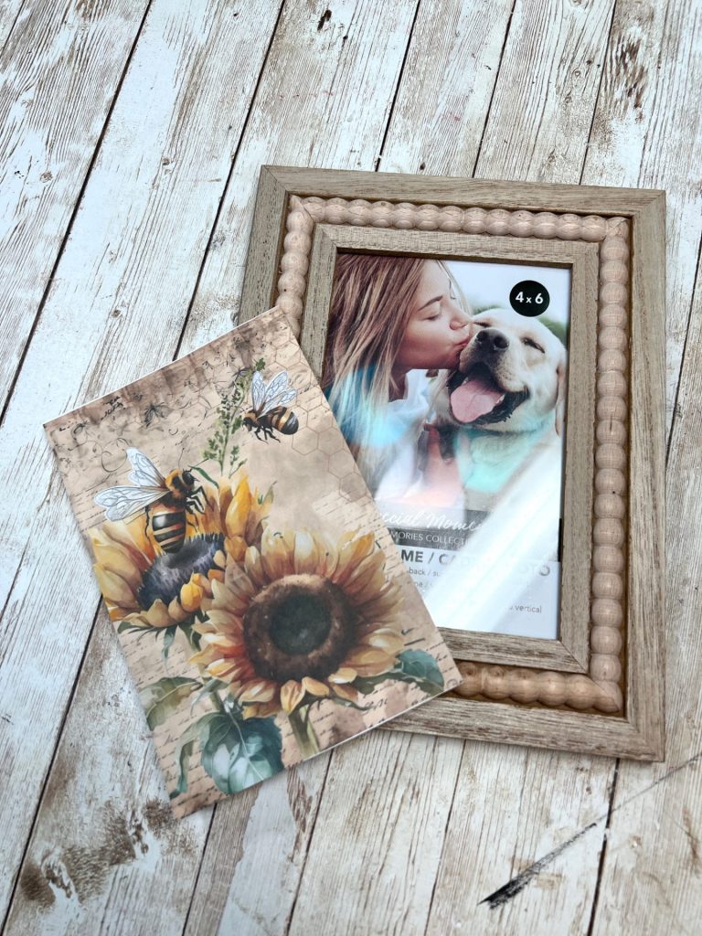 Dollar Tree Sunflower Framed Print