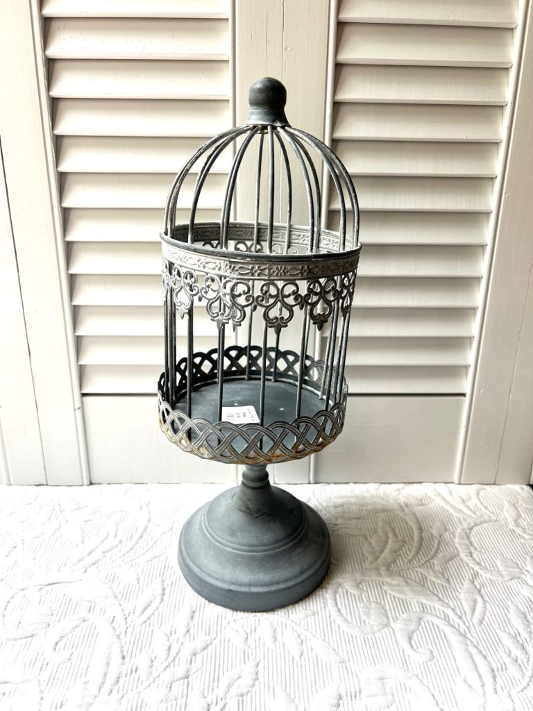 Halloween Skeleton Birdcage