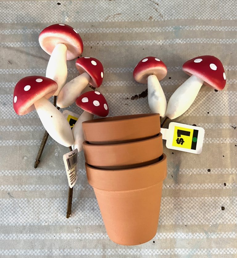 DIY Potted Mushrooms