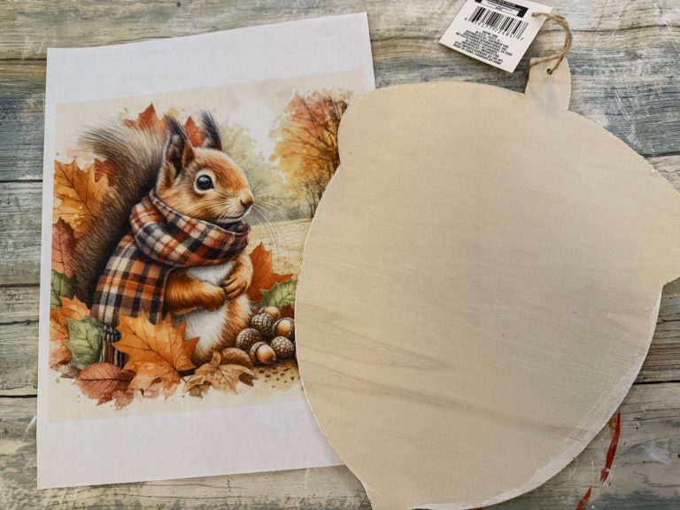 Dollar Tree Squirrel Acorn