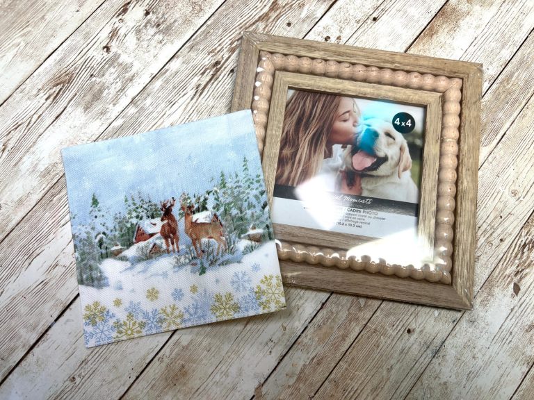 Dollar Tree Winter Deer Frame
